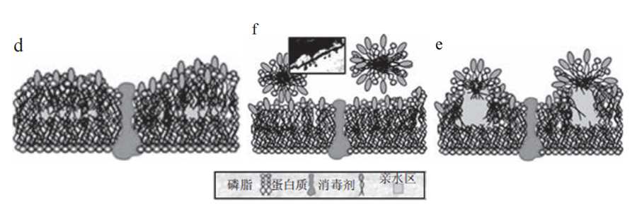 未标题-1.jpg